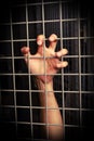 Hand behind the lattice Royalty Free Stock Photo