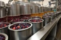 industry berry fruit process conveyer food equipment production factory work. Generative AI.