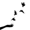 Hand and flying birds silhouettes isolated on white background, vector. Freedom concept. Flying dove birds, peace concept Royalty Free Stock Photo