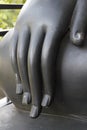 Hand of black buddha image Royalty Free Stock Photo