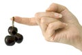 Hand with black cherries Royalty Free Stock Photo