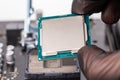 Hand in black glove installing central processor unit in pc motherboard - closeup with selective focus Royalty Free Stock Photo
