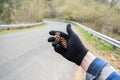 Hand with black gloves holding a two fir cones beside the road in Tacoma, Washington Royalty Free Stock Photo