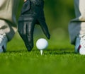 Hand in a Black Leather Glove Placing a Golf Ball on a Wooden Tee in the Middle of a Golf Course. Golf Ball on Tee Ready Royalty Free Stock Photo