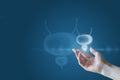 Hand with bladder and prostate Royalty Free Stock Photo