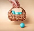 Hand with blue dyed Easter eggs in basket. Woman using natural farm food for preparation for spring religious holiday