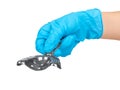 Hand in blue glove holding a metal impression tray for prosthodonticson on white background isolated