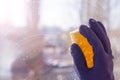 Hand blue glove wash window with yellow sponge Royalty Free Stock Photo