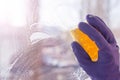 Hand blue glove wash window with yellow sponge. Royalty Free Stock Photo