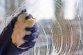 Hand blue glove washes window  Cleaning Service Royalty Free Stock Photo