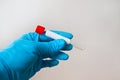 Hand in blue medical disposable rubber gloves holding a blank test tube to collect analyzes on a gray background Royalty Free Stock Photo