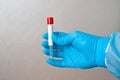 Hand in blue medical disposable rubber gloves holding a blank test tube to collect analyzes on a gray background Royalty Free Stock Photo