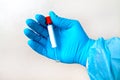 Hand in blue medical disposable rubber gloves holding a blank test tube to collect analyzes on a gray background Royalty Free Stock Photo