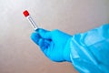 Hand in blue medical disposable rubber gloves holding a blank test tube to collect analyzes on a gray background with the Royalty Free Stock Photo