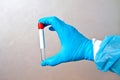 Hand in blue medical disposable rubber gloves holding a blank test tube to collect analyzes on a gray background Royalty Free Stock Photo