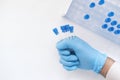 hand in blue medical gloves holding blood test tube Royalty Free Stock Photo