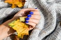 Hand with blue nails on sweater autumn cozy background. Female manicure. glamorous beautiful manicure. Winter or autumn manicure Royalty Free Stock Photo