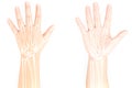 Hand bone pain Royalty Free Stock Photo