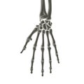 Hand Bones X-ray Royalty Free Stock Photo