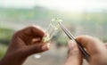 Hand of a botanist collecting plant samples. farmer collecting samples in a test tube. Farmer using tweezer to collect