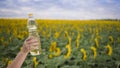 A hand with a bottle of golden sunflower oil raised up against the background of a field of blooming sunflowers in a sunny Royalty Free Stock Photo