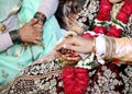 Hand of the bride held by a groom during a traditional ritual in an Indian Hindu Wedding Royalty Free Stock Photo