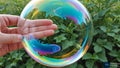 Hand in bubble generate ai Royalty Free Stock Photo