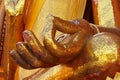 Hand of Buddha