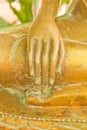 Hand of buddha image