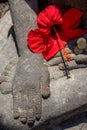 Hand of Budha with red flower Royalty Free Stock Photo