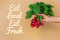 Hand with bunch of radish and inscription Eat local Eat fresh