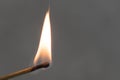 Hand burning match stick. A photo on a gray background.