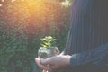 Hand of businessman holding tree and coins in glass financial Royalty Free Stock Photo