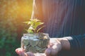 Hand of businessman holding tree and coins in glass financial Royalty Free Stock Photo