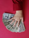 hand of a businesswoman holding american dollars banknotes Royalty Free Stock Photo