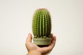 Hand Cactus Hand Holding Cactus Ai Technologyon White Background