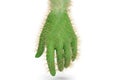 Hand cactus on white background.3D illustration.