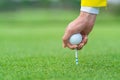 Hand caddy hold Golf ball with tee ready to be shot at golf court Royalty Free Stock Photo