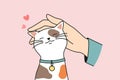 Hand caress cute cat