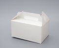 Hand carry white box