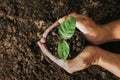 hand carrying a bag for planting