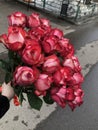 Hand carrying a rich bouquet of scarlet roses in the street
