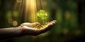 A hand carrying a sprouting plant backlit with morning sunshine