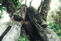 hand carved ceremonial tribal tamtam drums resting next to a tree