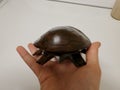 Hand Carved wood turtle Royalty Free Stock Photo
