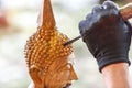 Hand of carver carving wood