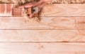 Hand catch is Carpenter plane on a wooden board using smoothing Royalty Free Stock Photo