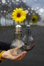 Hand catching a light bulb with a yellow flower