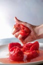 Hand squashing red tomatoes Royalty Free Stock Photo