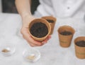 The hand of a caucasian teenage girl shows to the camera cardboard glasses with soil and a planted seed